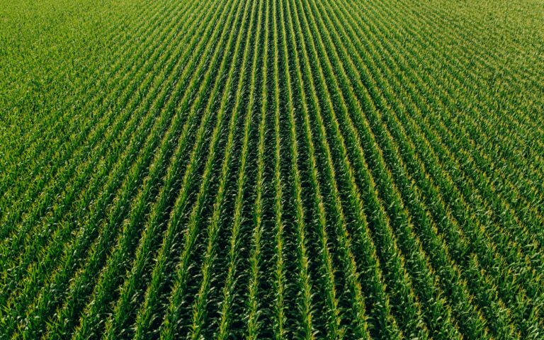 Agricultura